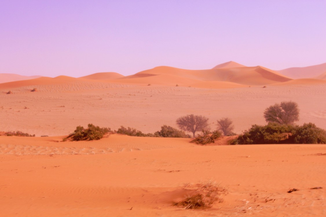 Namibie_Namib_Dunes_2015_Img0082