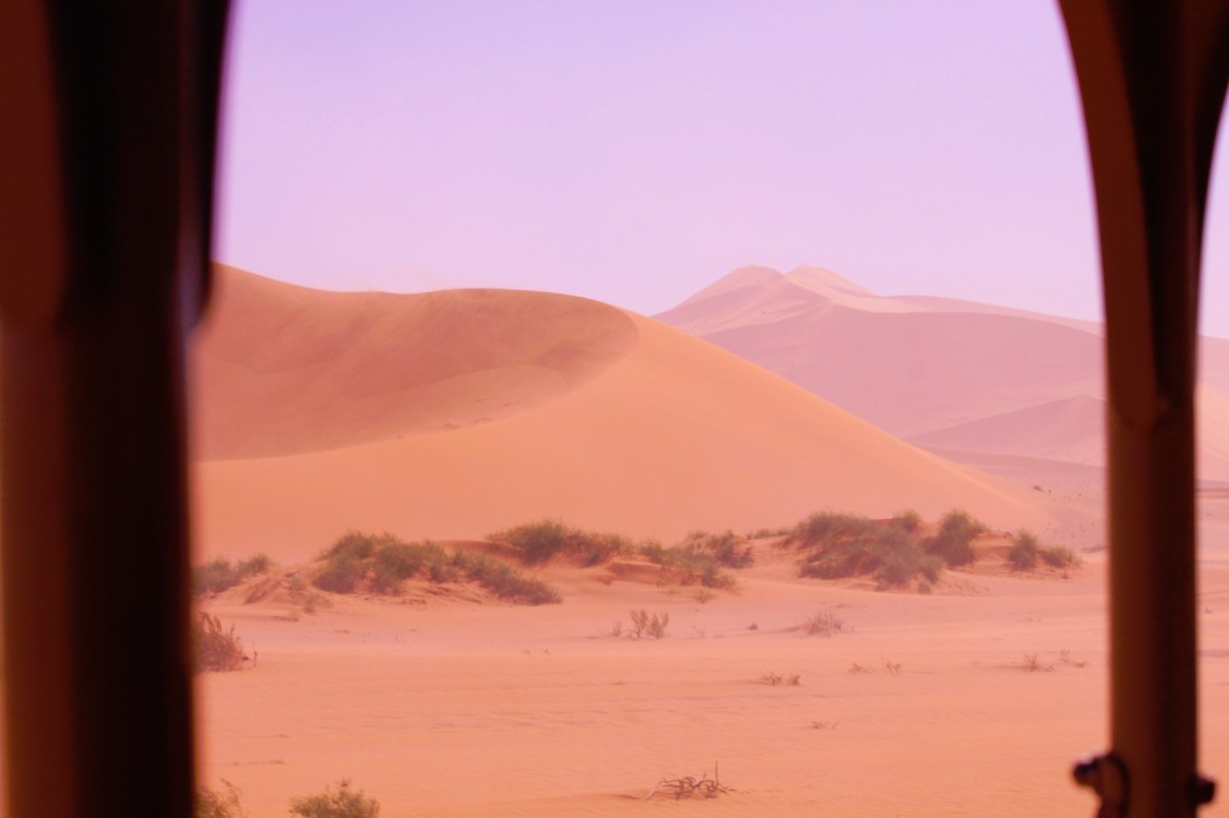Namibie_Namib_Dunes_2015_Img0083