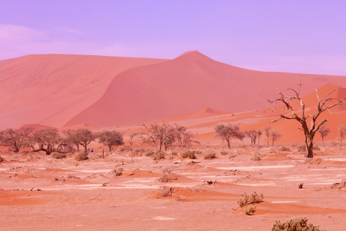 Namibie_Namib_Dunes_2015_Img0084