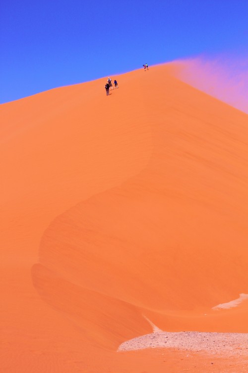 Namibie_Namib_Dunes_2015_Img0090c