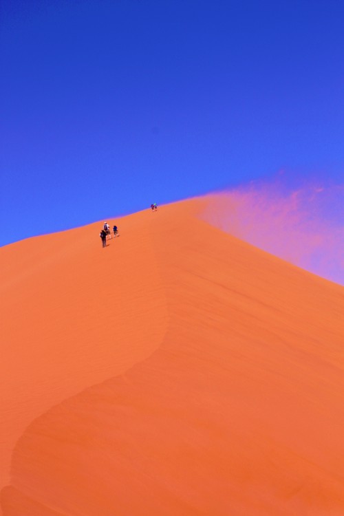 Namibie_Namib_Dunes_2015_Img0090d