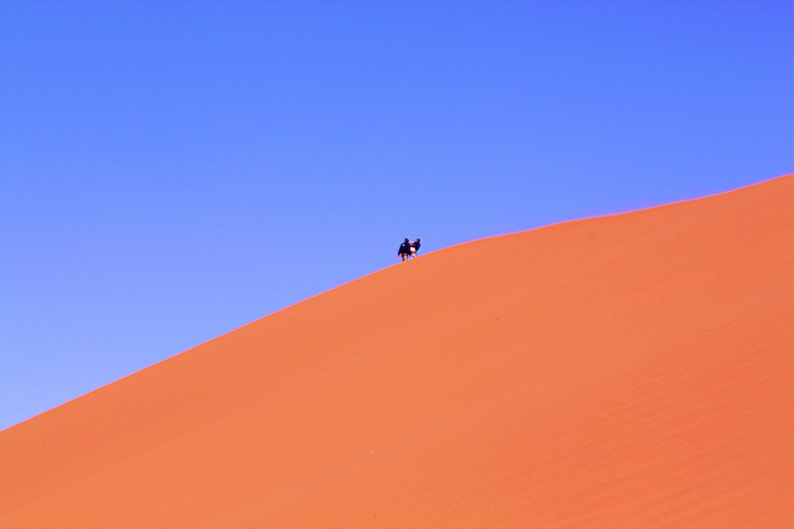Namibie_Namib_Dunes_2015_Img0090f