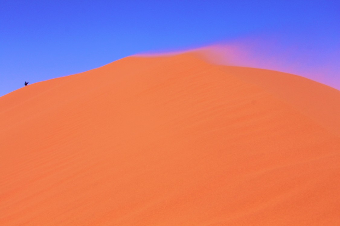 Namibie_Namib_Dunes_2015_Img0090g