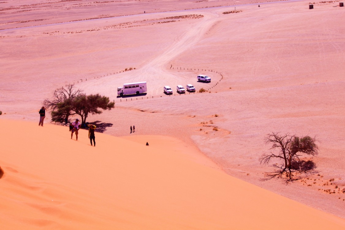 Namibie_Namib_Dunes_2015_Img0090j