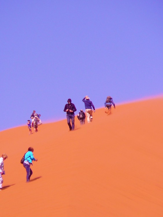 Namibie_Namib_Dunes_2015_Img0091