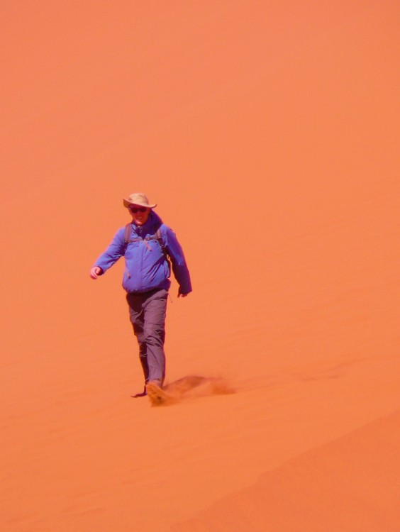 Namibie_Namib_Dunes_2015_Img0098