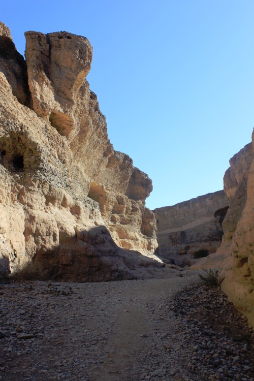 Namibie_Namib_Dunes_2015_Img0120