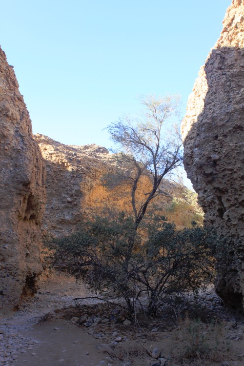Namibie_Namib_Dunes_2015_Img0140