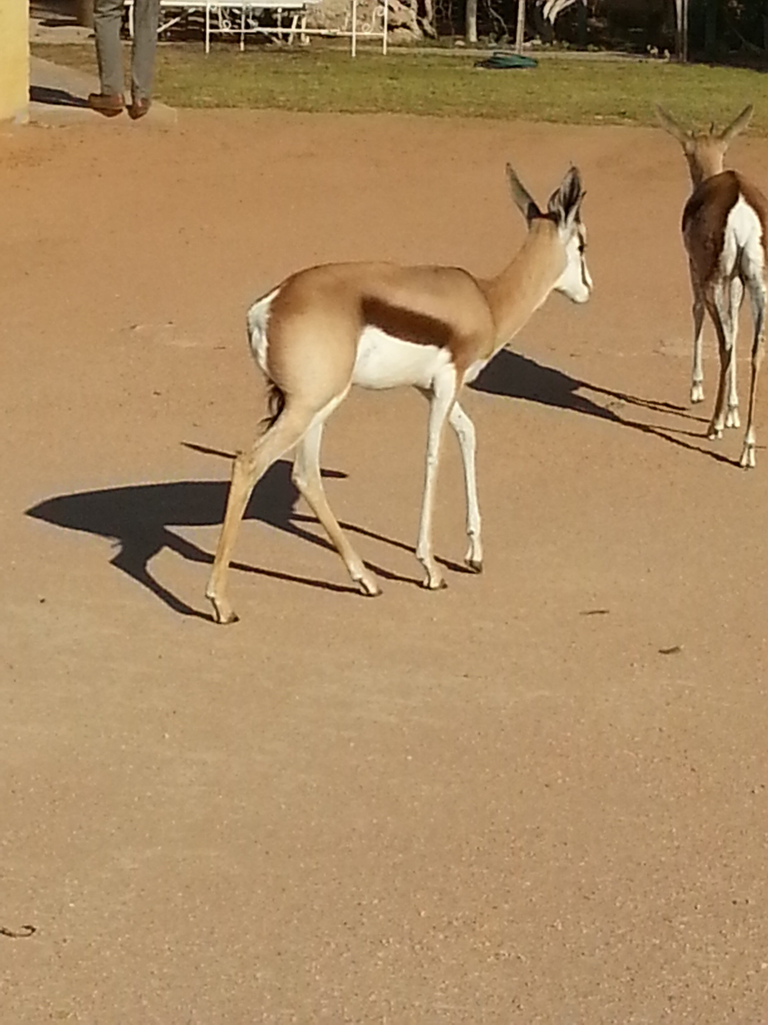 Namibie_Zuid_2015_Img0075h