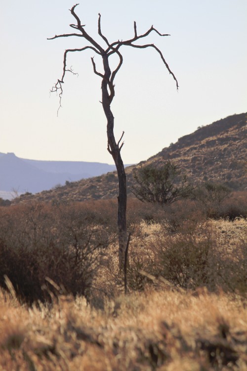 Namibie_Zuid_2015_Img0091