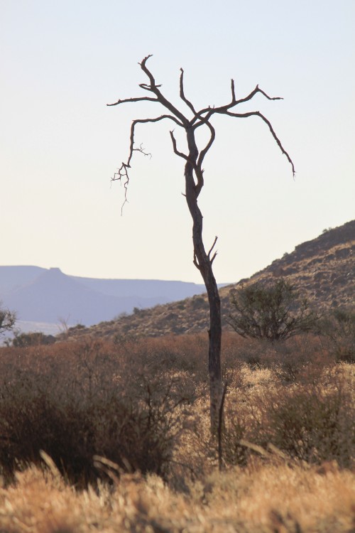 Namibie_Zuid_2015_Img0092