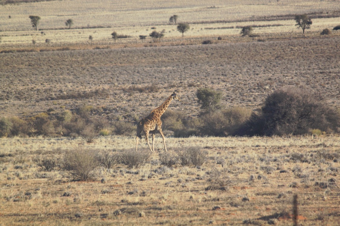 Namibie_Zuid_2015_Img0108