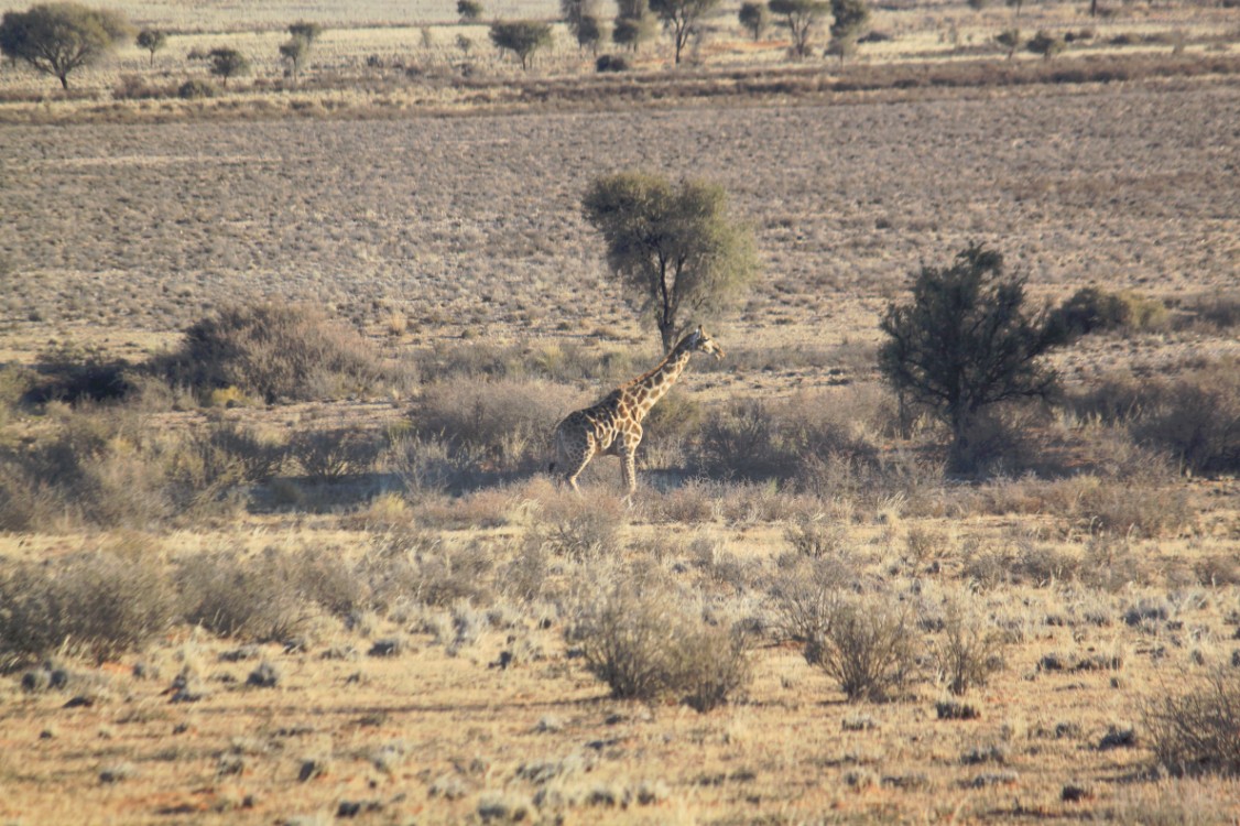 Namibie_Zuid_2015_Img0110