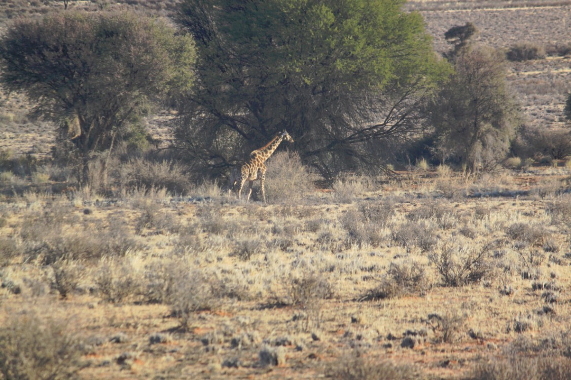 Namibie_Zuid_2015_Img0111