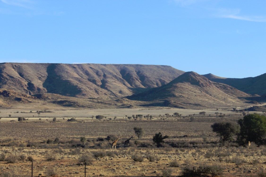 Namibie_Zuid_2015_Img0113