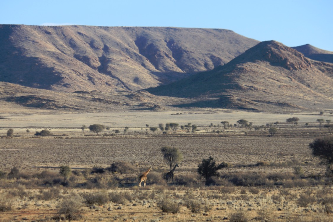 Namibie_Zuid_2015_Img0114