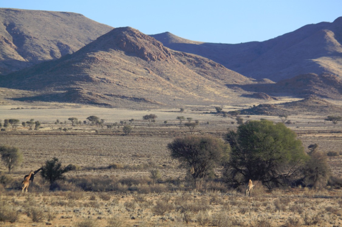 Namibie_Zuid_2015_Img0115