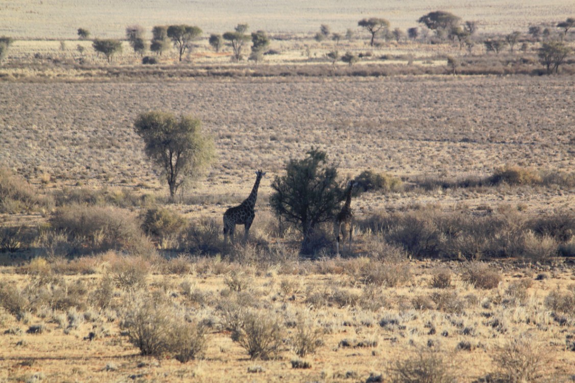 Namibie_Zuid_2015_Img0117