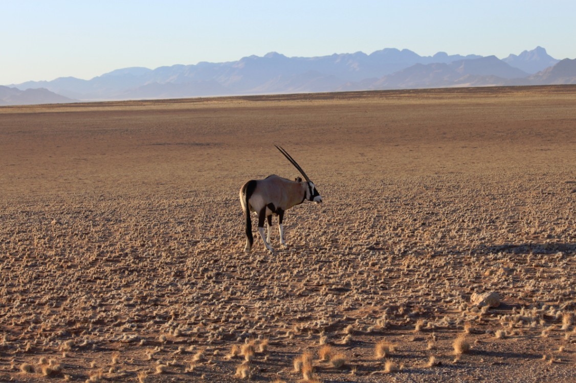 Namibie_Zuid_2015_Img0123