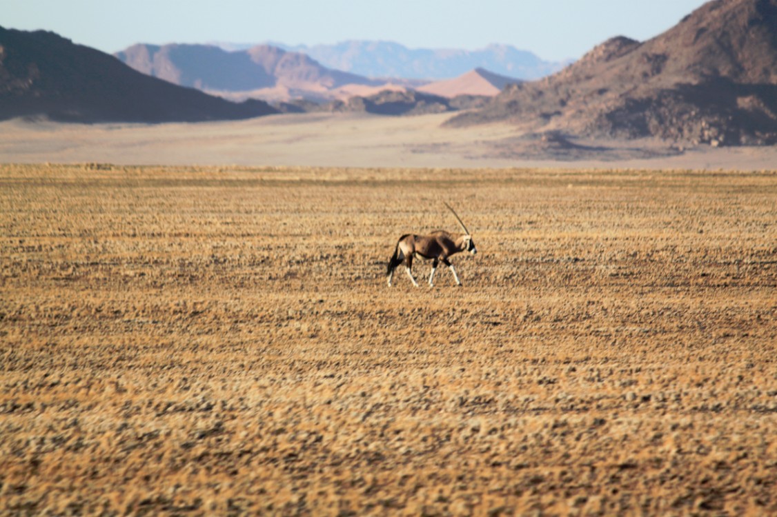 Namibie_Zuid_2015_Img0133