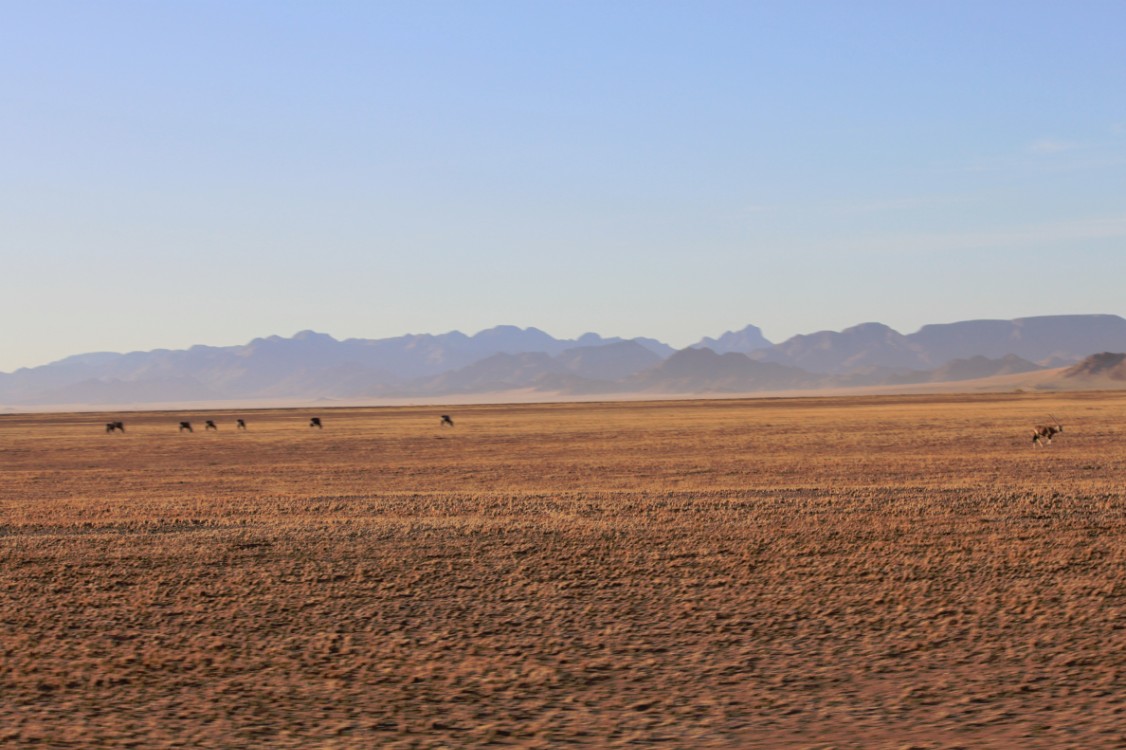 Namibie_Zuid_2015_Img0134