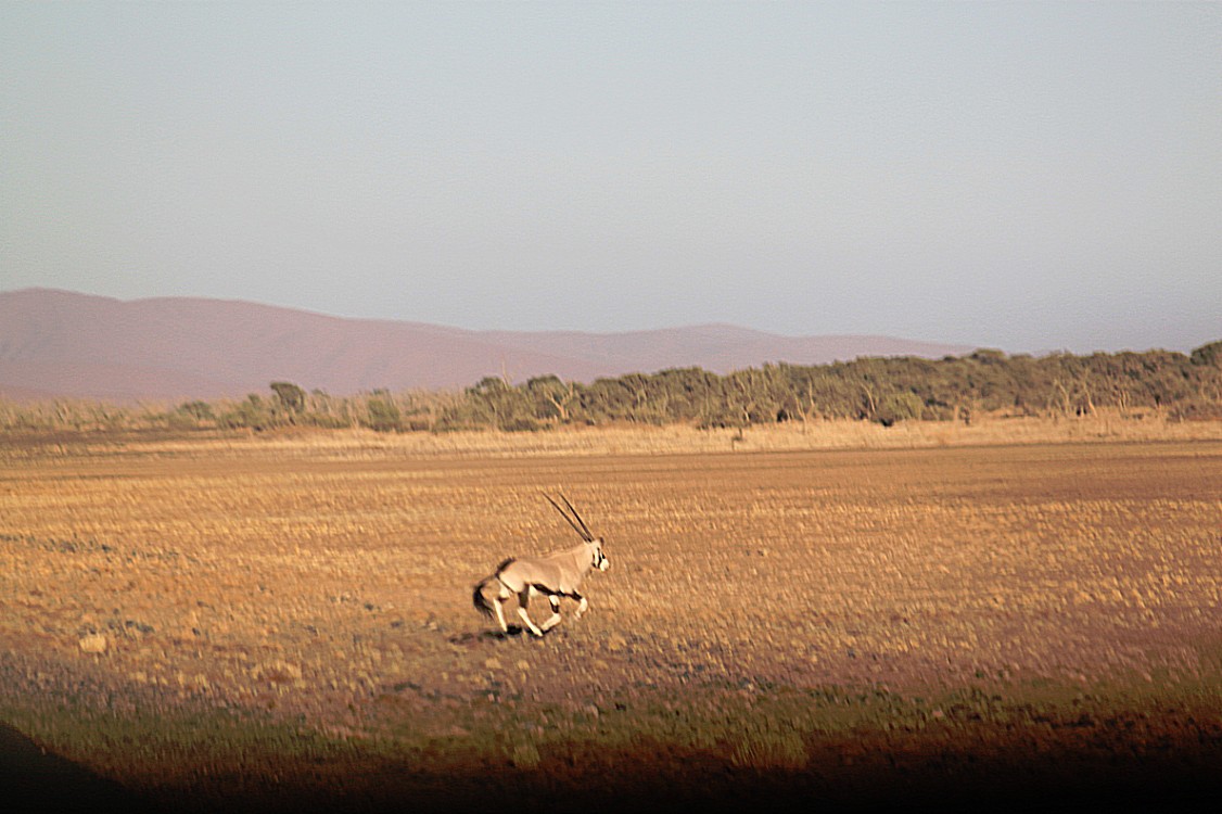 Namibie_Zuid_2015_Img0135