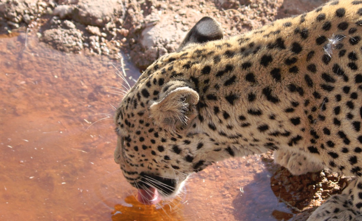 Namibie_Zuid_2015_Img0151