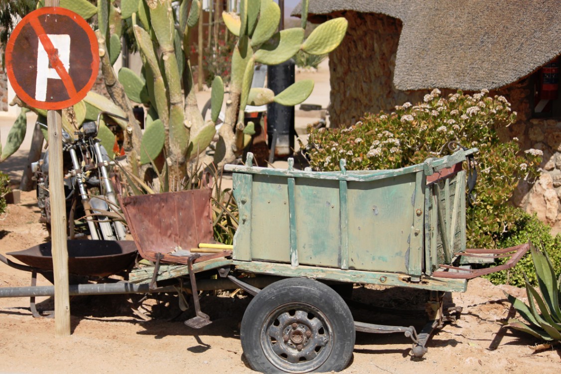 Namibie_NamibDesert_2015_Img0004