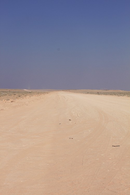 Namibie_NamibDesert_2015_Img0021