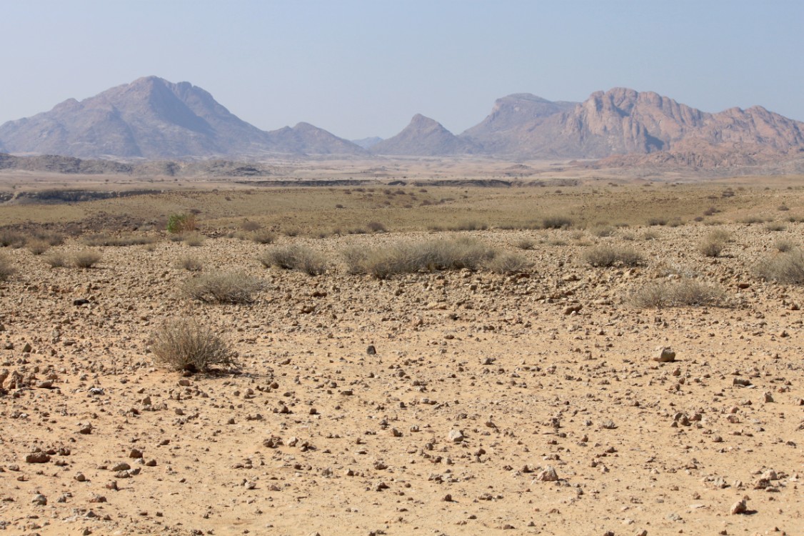 Namibie_NamibDesert_2015_Img0022