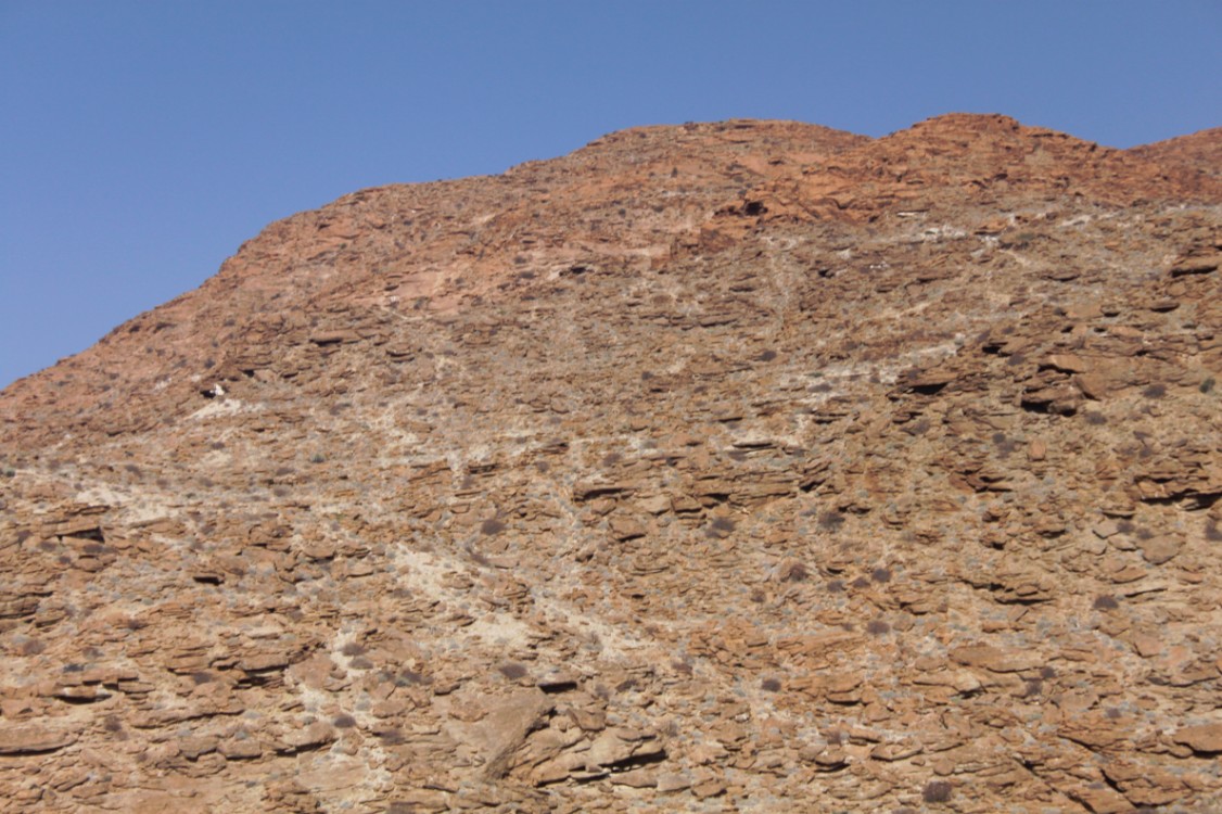 Namibie_NamibDesert_2015_Img0036