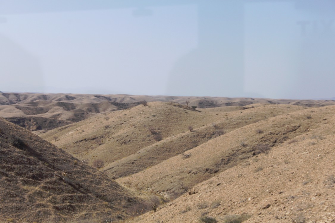 Namibie_NamibDesert_2015_Img0042