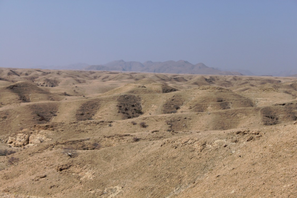 Namibie_NamibDesert_2015_Img0045