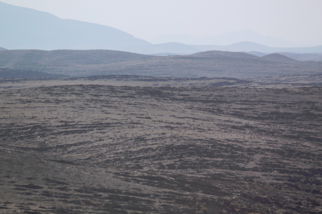 Namibie_NamibDesert_2015_Img0046