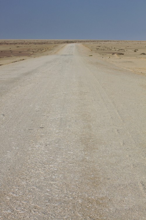 Namibie_NamibDesert_2015_Img0069