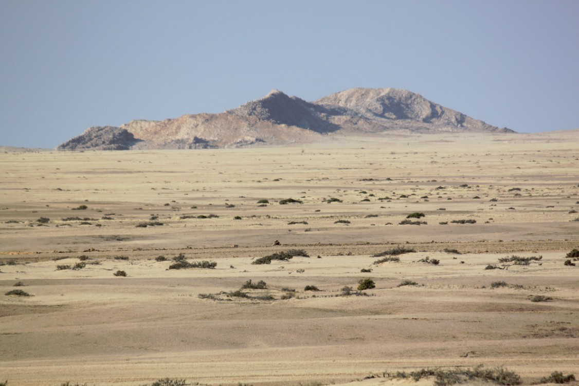 Namibie_NamibDesert_2015_Img0073