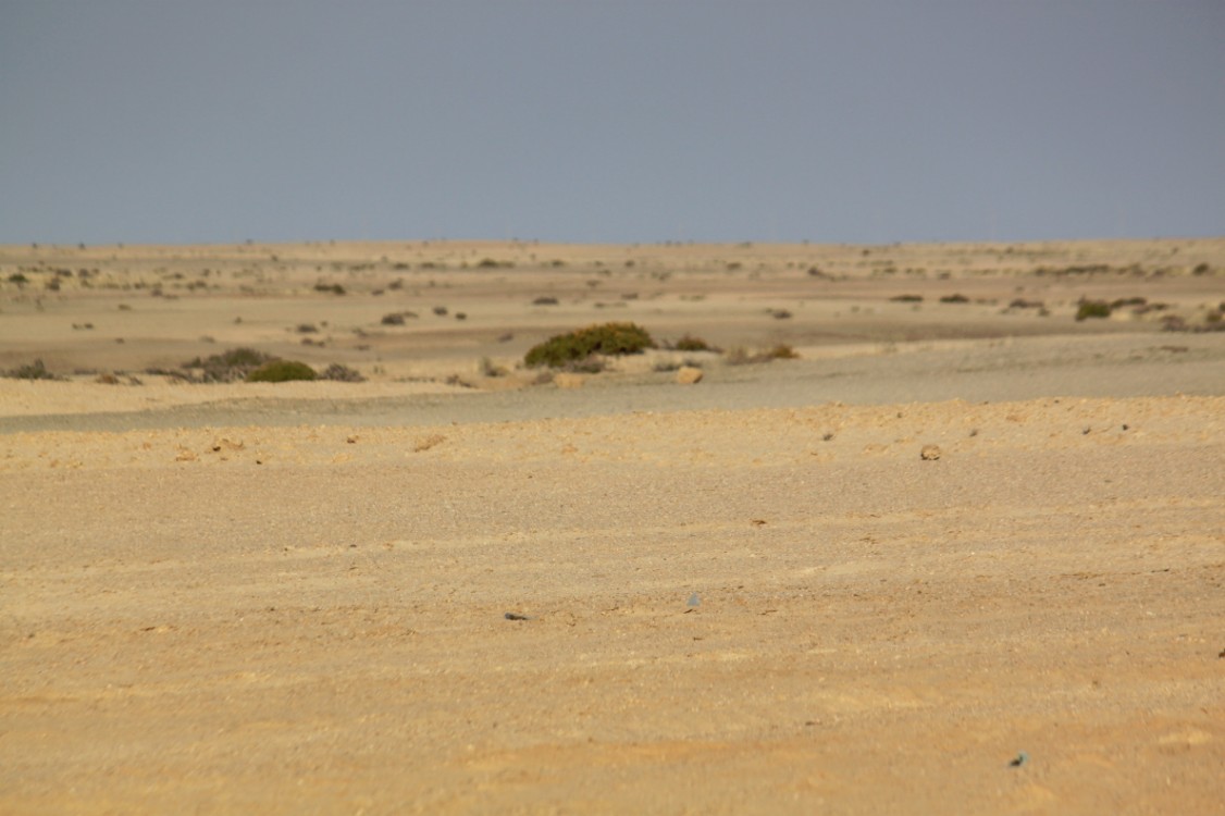 Namibie_NamibDesert_2015_Img0076