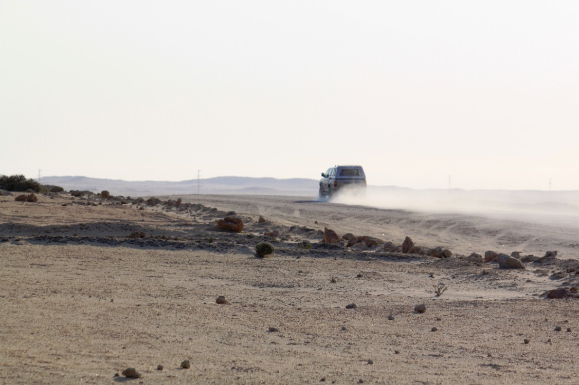 Namibie_NamibDesert_2015_Img0078