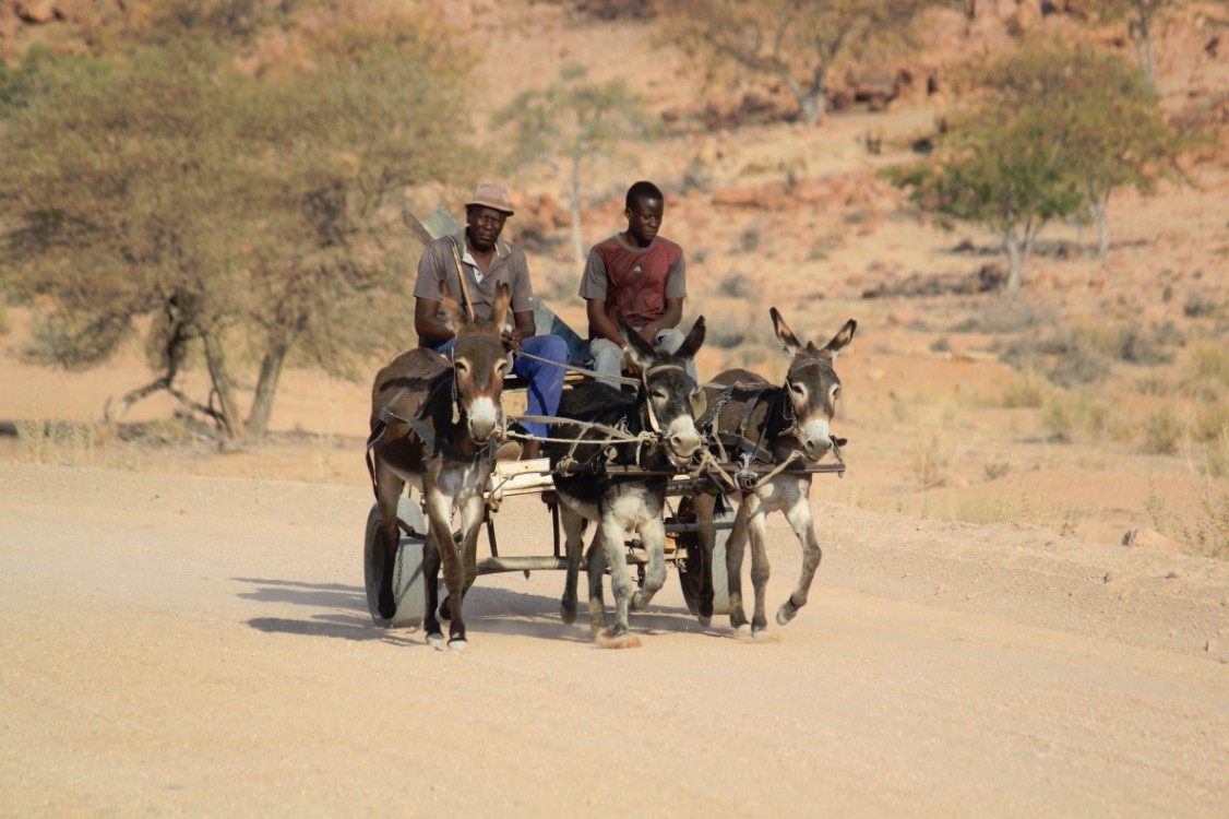 Namibie_DamaralandKaokoveld_2015_Img0006