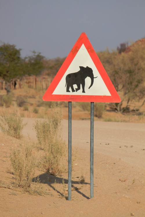 Namibie_DamaralandKaokoveld_2015_Img0012