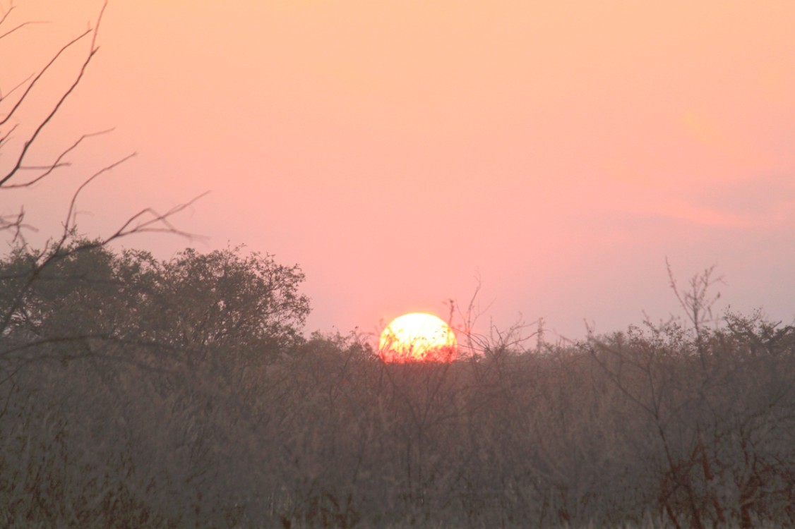 Namibie_DamaralandKaokoveld_2015_Img0022