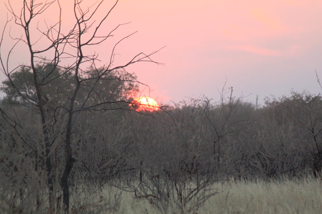 Namibie_DamaralandKaokoveld_2015_Img0023