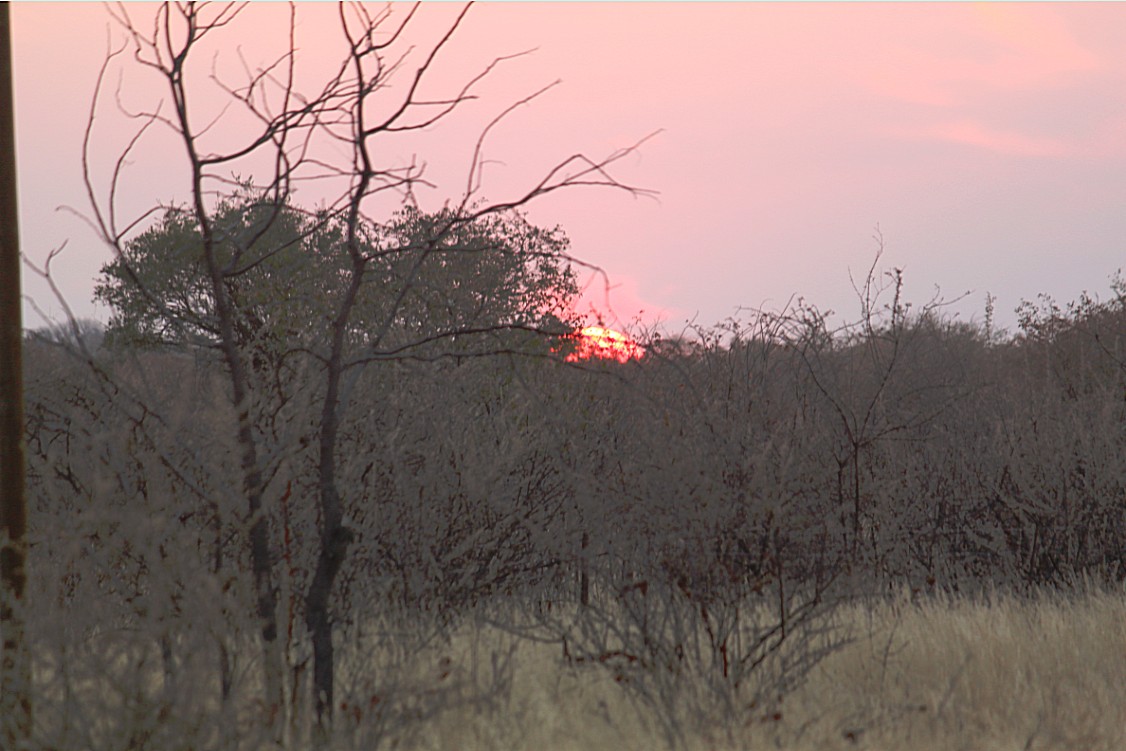 Namibie_DamaralandKaokoveld_2015_Img0024