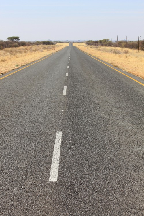 Namibie_DamaralandKaokoveld_2015_Img0033