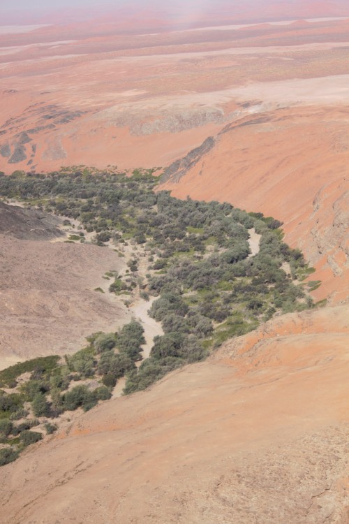 Namibie_Desertvlucht_2015_Img0046