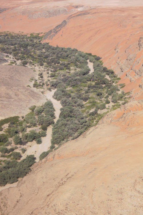 Namibie_Desertvlucht_2015_Img0047