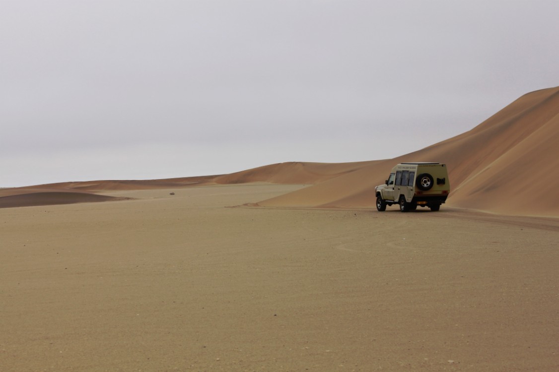 Namibie_LivingDesert_2015_Img0039