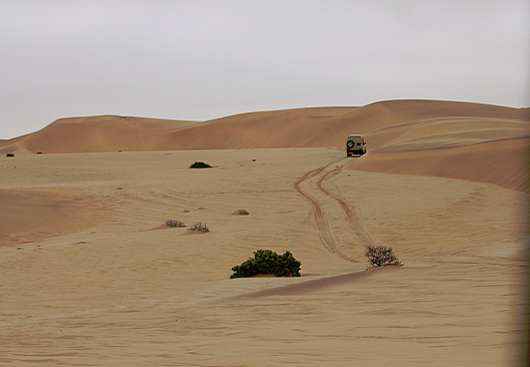 Namibie_LivingDesert_2015_Img0040