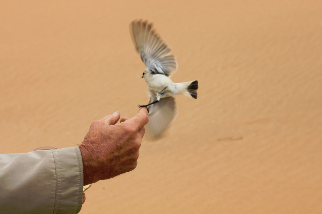 Namibie_LivingDesert_2015_Img0061