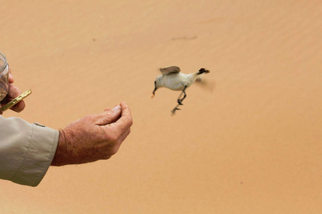 Namibie_LivingDesert_2015_Img0063